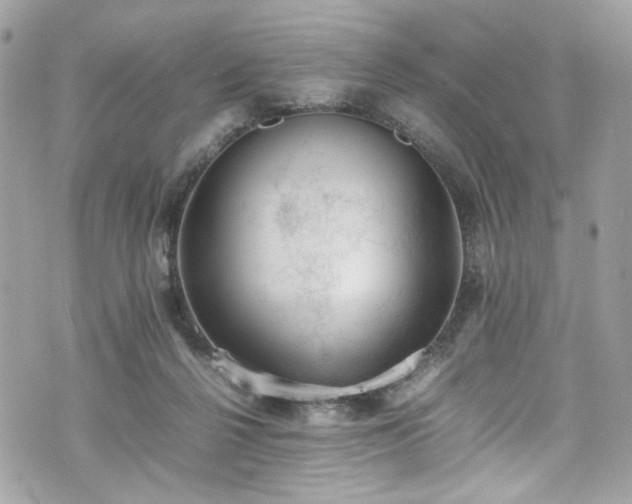 X0000070370264200606161325