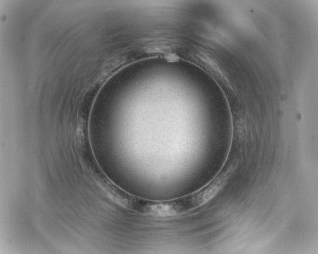 X0000070370265200606161325