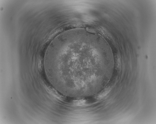 X0000070370266200606161325