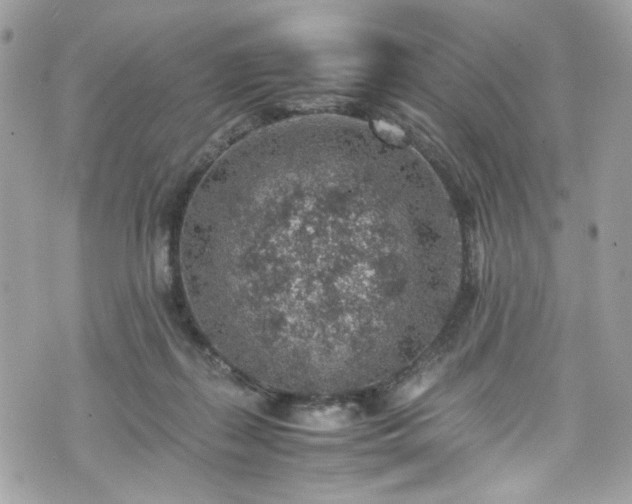 X0000070370267200606161325