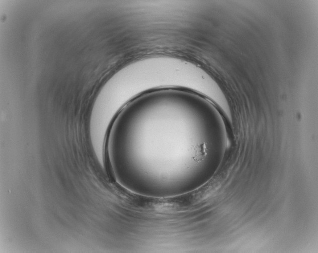 X0000070370268200606161325