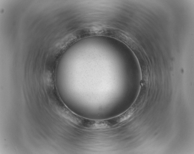 X0000070370270200606161325