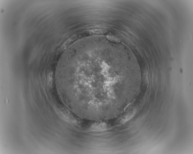 X0000070370271200606161325