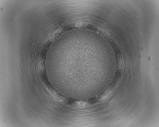 X0000070370272200606161325