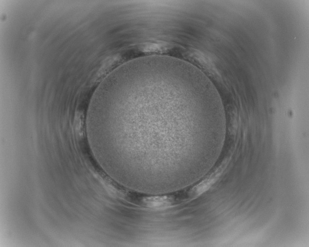 X0000070370273200606161325