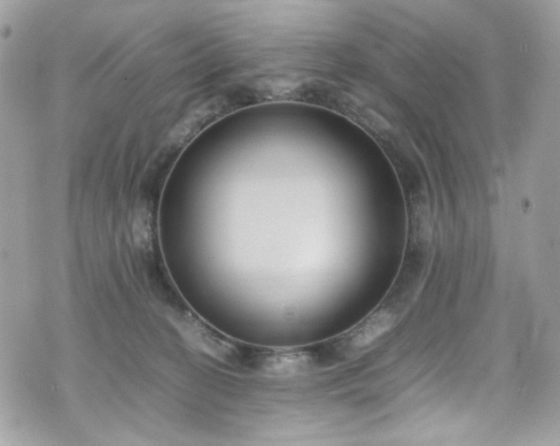 X0000070370274200606161325