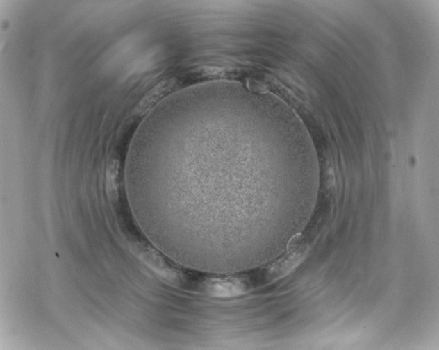 X0000070370275200606161325