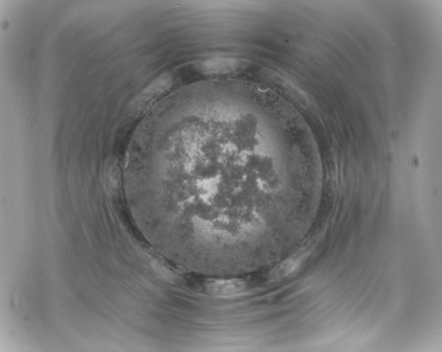 X0000070370277200606161325