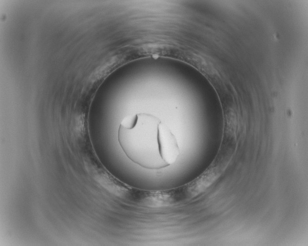 X0000070370278200606161325