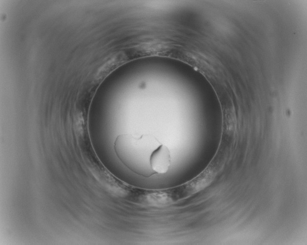 X0000070370279200606161325