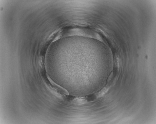 X0000070370280200606161325