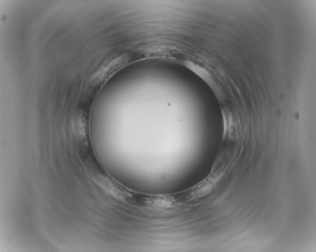 X0000070370282200606161325