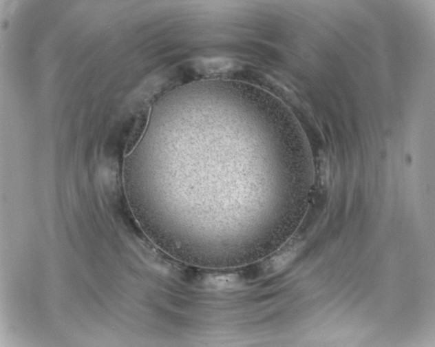 X0000070370283200606161325