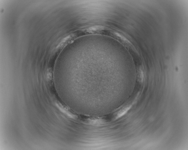 X0000070370284200606161325