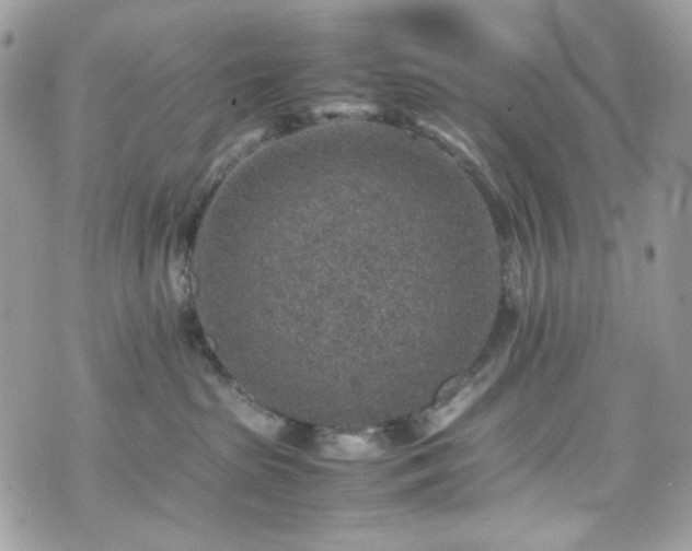 X0000070370285200606161325