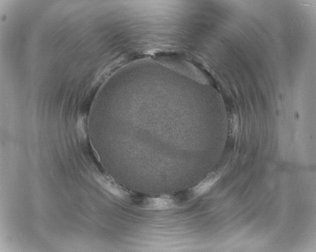 X0000070370286200606161325