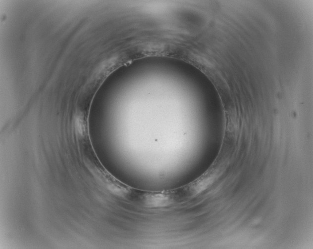 X0000070370287200606161325