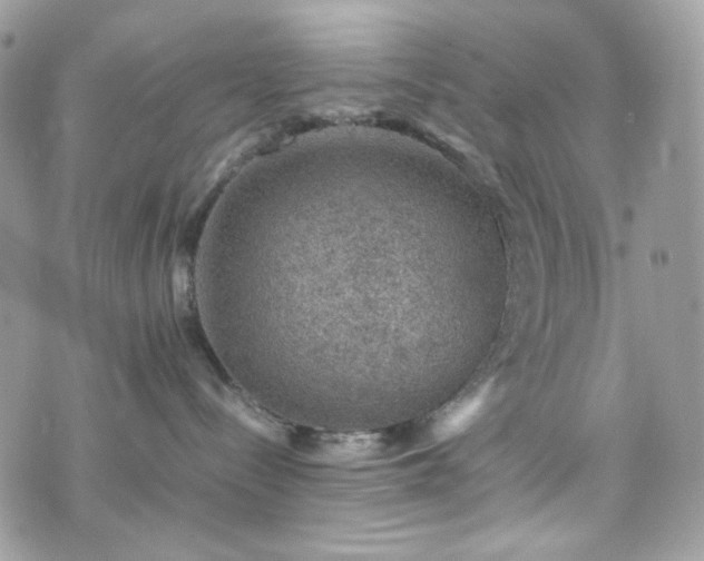 X0000070370288200606161325