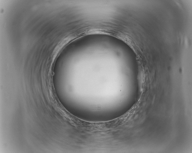 X0000070370289200606161324