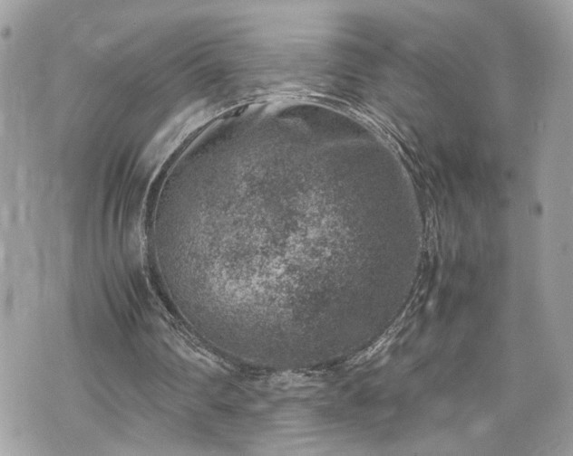 X0000070370290200606161324