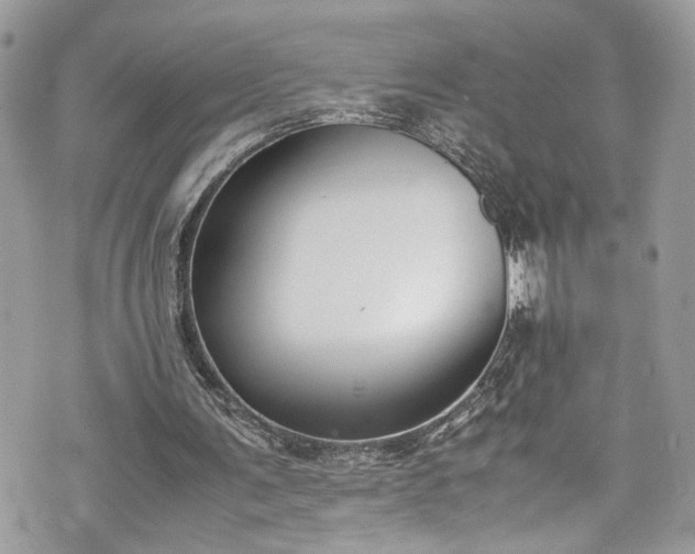 X0000070370291200606161324