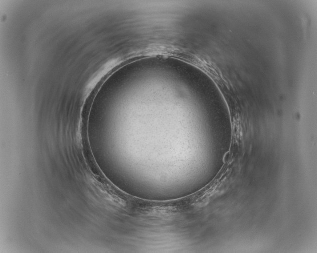 X0000070370292200606161324