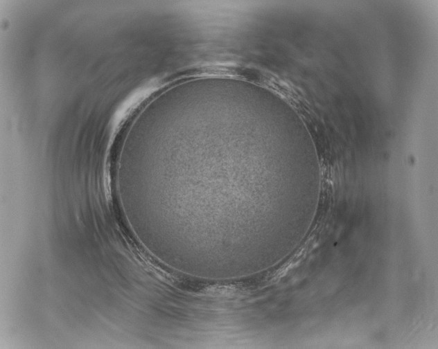 X0000070370294200606161324