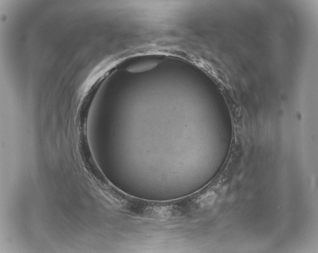 X0000070370295200606161324