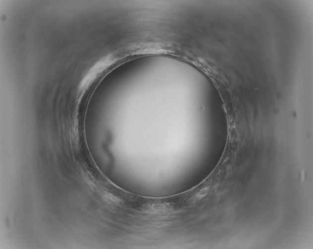 X0000070370296200606161324