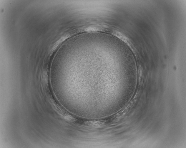 X0000070370297200606161324