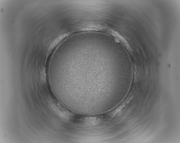 X0000070370298200606161324