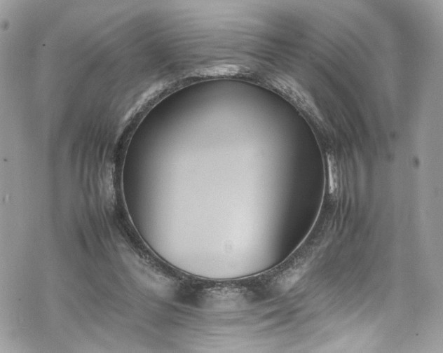 X0000070370300200606161324