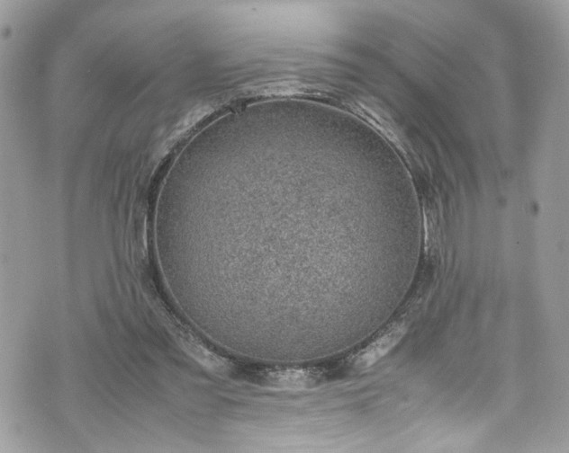 X0000070370301200606161324