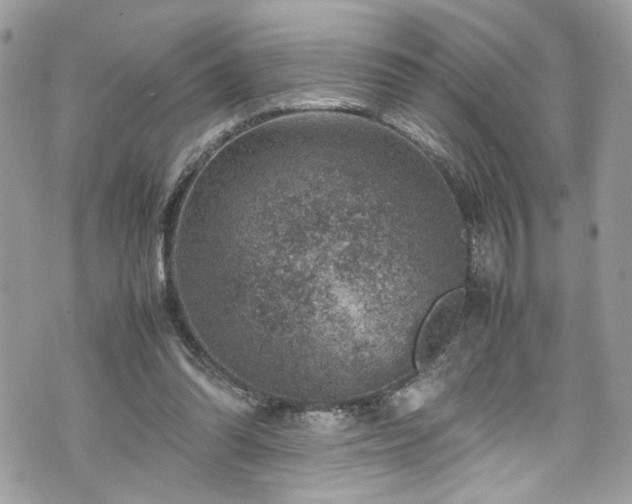 X0000070370302200606161324