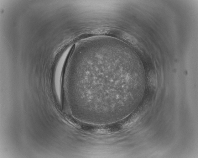 X0000070370303200606161324