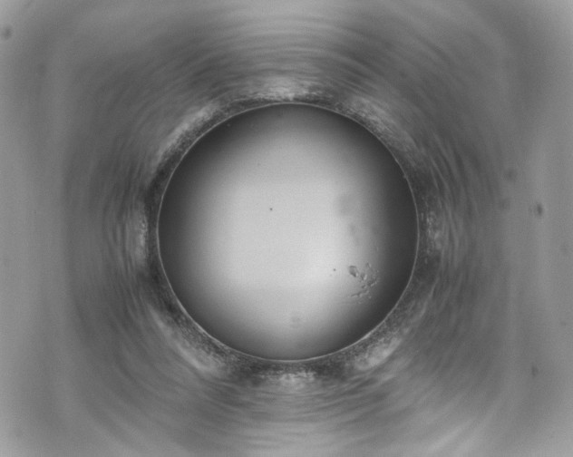 X0000070370304200606161324