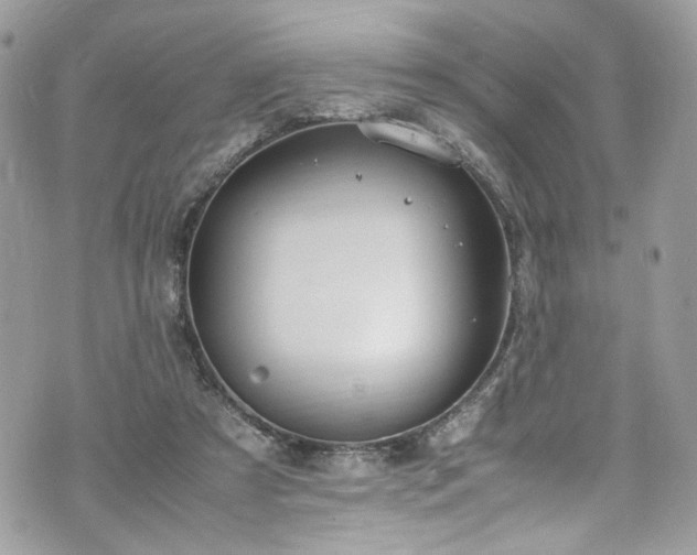 X0000070370305200606161324