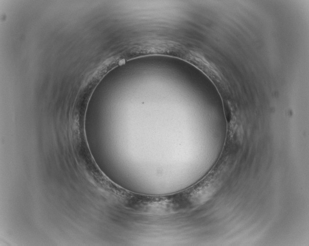 X0000070370306200606161324