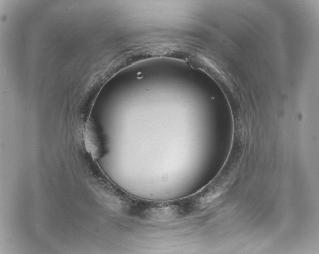 X0000070370307200606161324