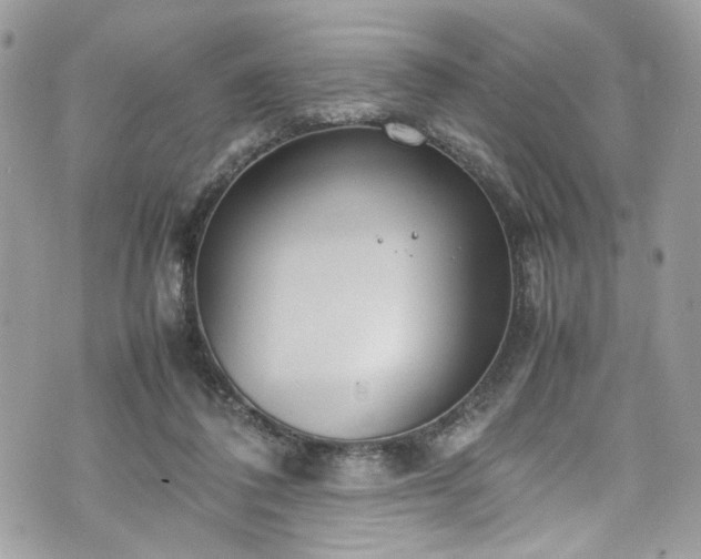 X0000070370308200606161324