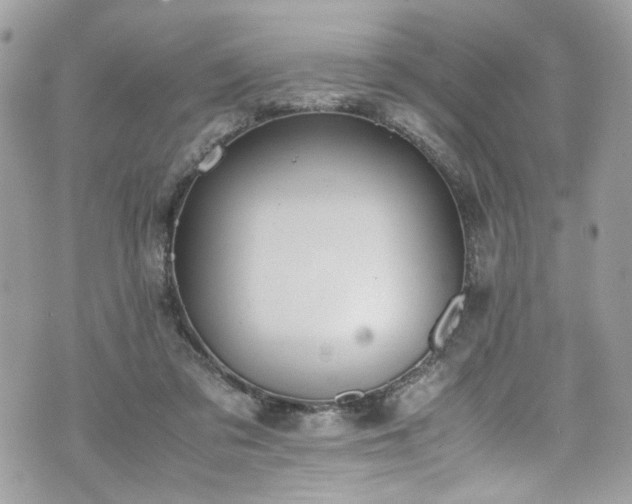 X0000070370309200606161324