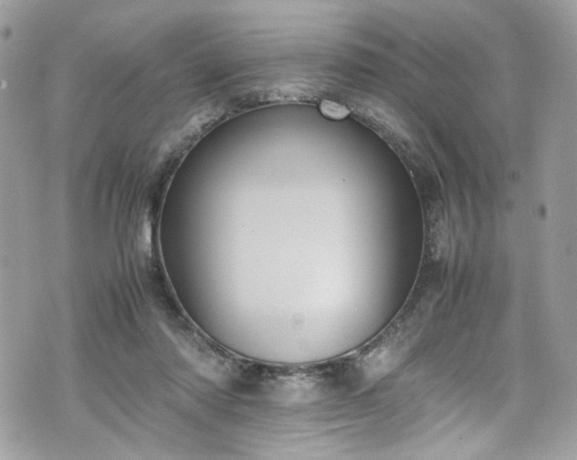 X0000070370310200606161324