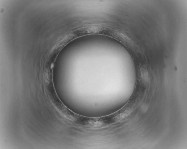 X0000070370311200606161324