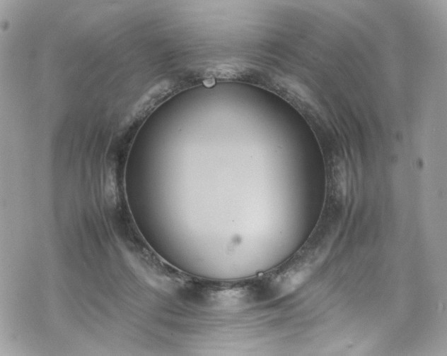 X0000070370312200606161324