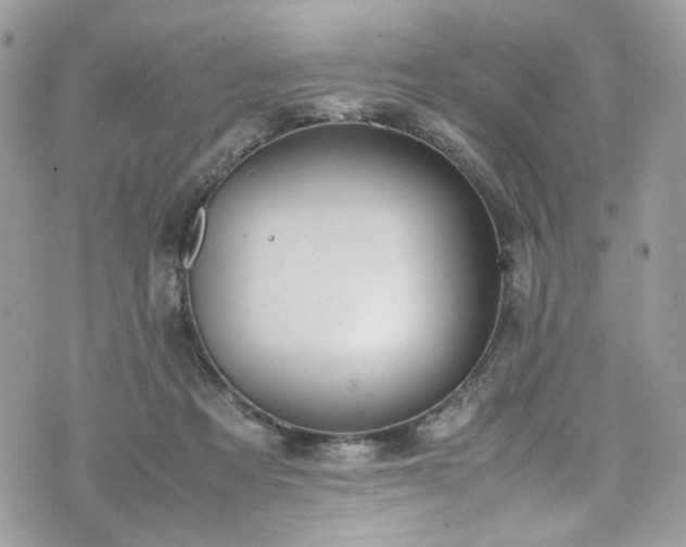 X0000070370313200606161324