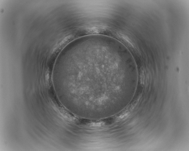 X0000070370314200606161324