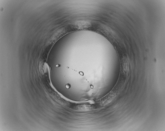 X0000070370316200606161324