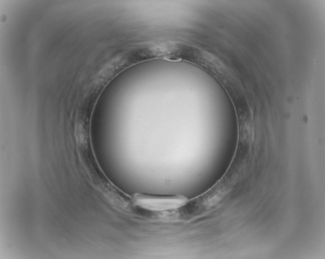 X0000070370317200606161324