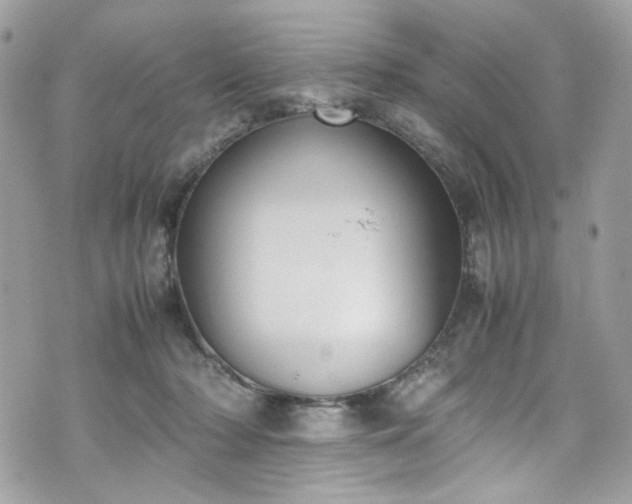 X0000070370318200606161324