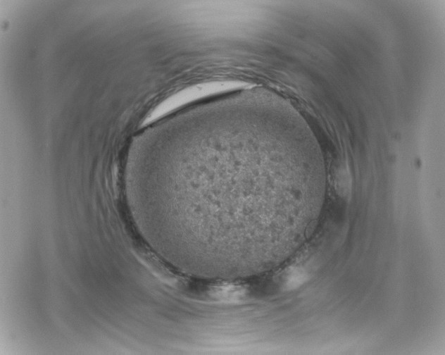 X0000070370319200606161324